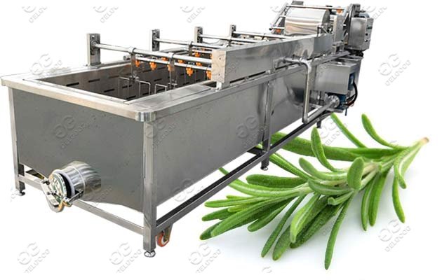 industrial rosemary cleaning machine