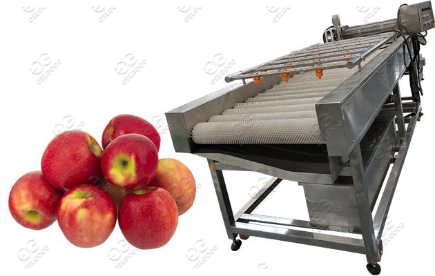 industrial apple washing machine