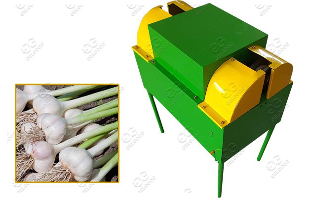 commercial garlic root cutting machine