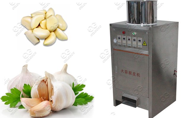 small scale garlic peeler machine