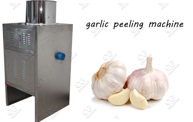 garlic process machine