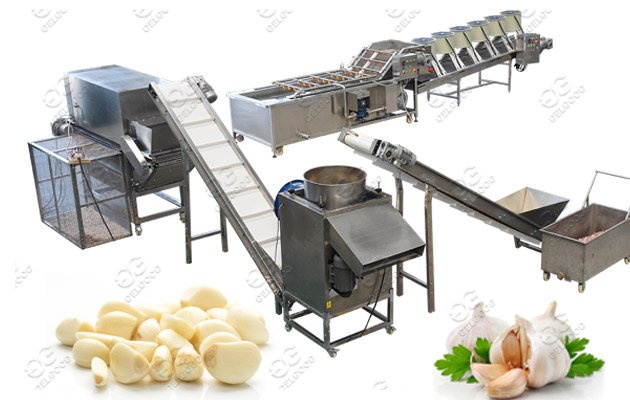 garlic peeling machine factory price