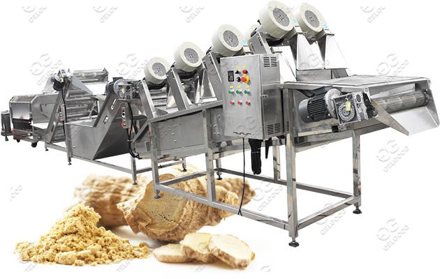 ginger powder process machine price