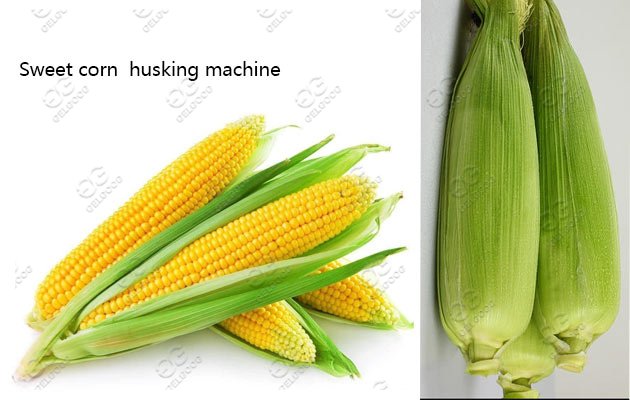 automatic corn husker price