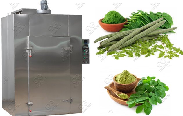 commercial moringa leaf dryer