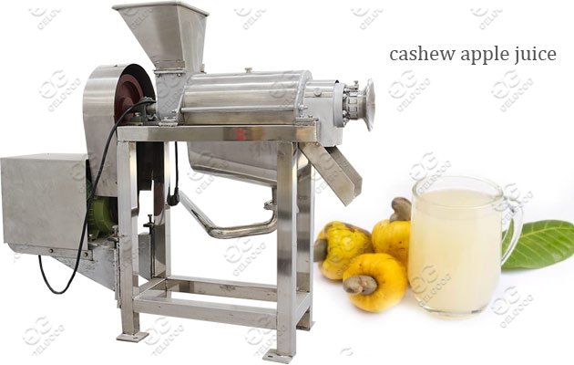 cashew apple juice making machine