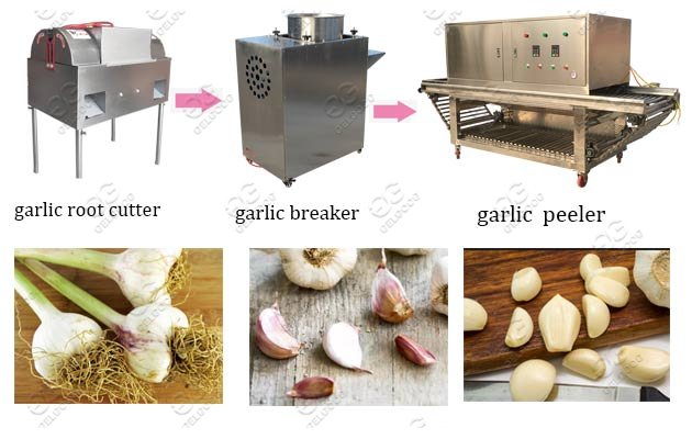 garlic peeling machine line