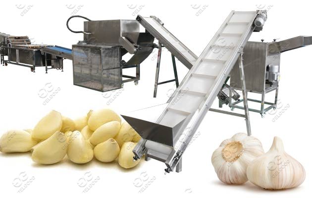 garlic process machine line