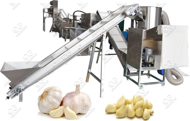 garlic peeler machine