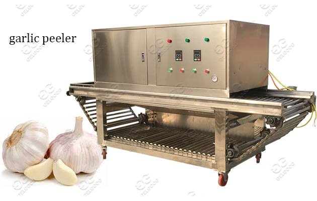 industrial garlic peeling machine