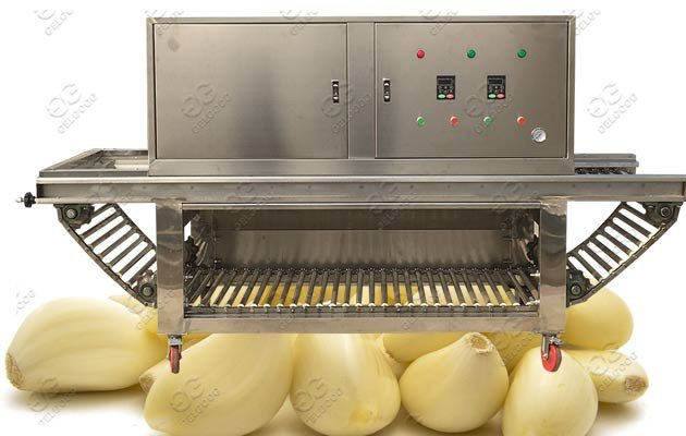 garlic peeler machine price