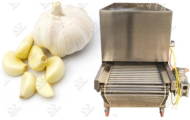 commercial garlic peeler
