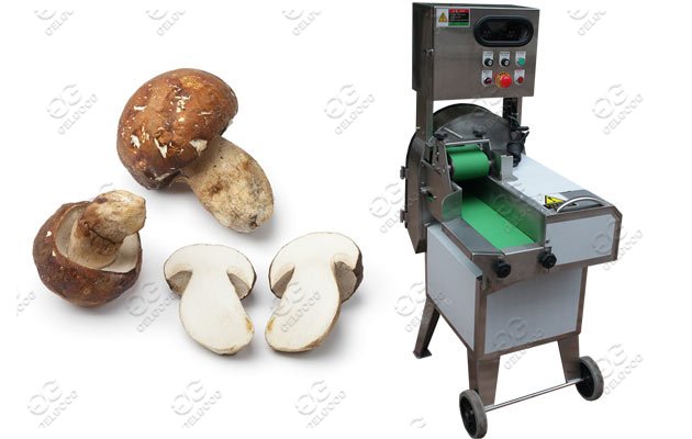 mushroom cutting machine price