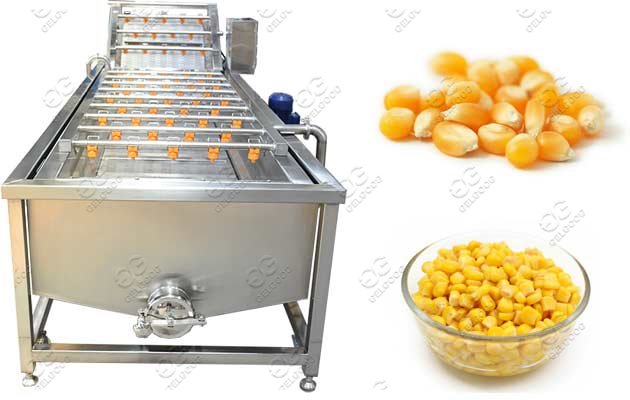corn washer machine price