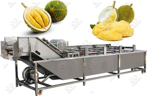 durian washing machine price
