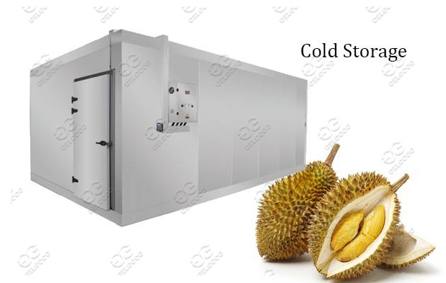 durian quick-freezing cold storage price