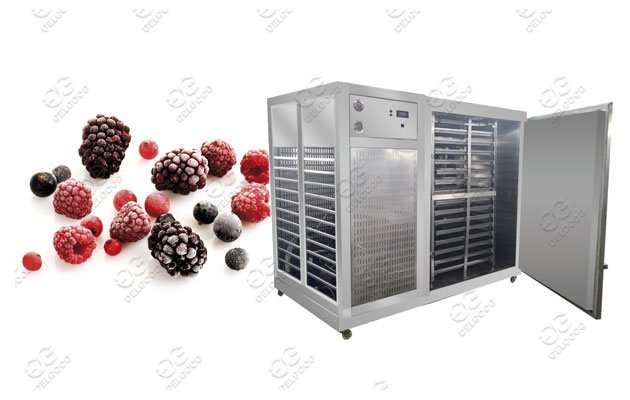 fruit freezing cabinet