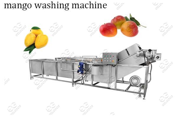 mango clenaing machine