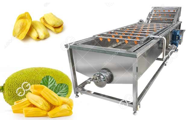 industrial jack fruit washing machine