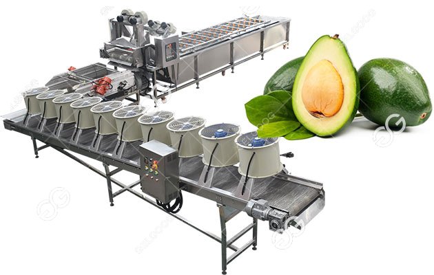 avocado washing process machine line