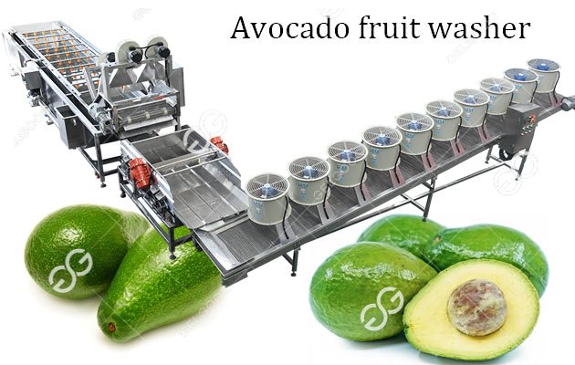 avocado process machine