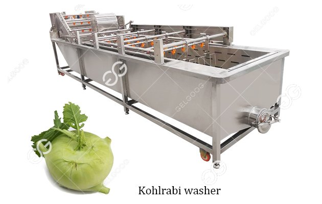 kohlrabi process machine price