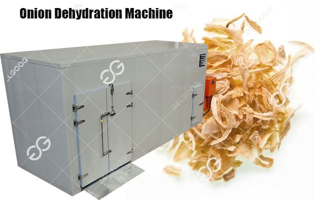 onion drying oven machine