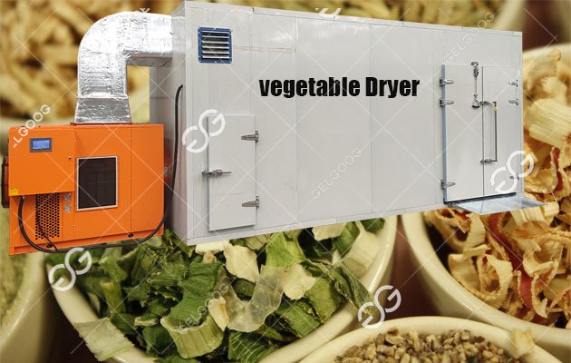 industrial vegetable dehydration plant