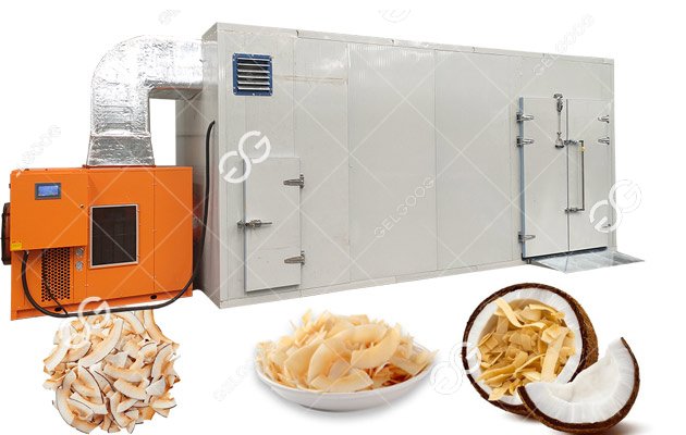 coconut chips dryer equipment