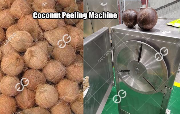 coconut process machine