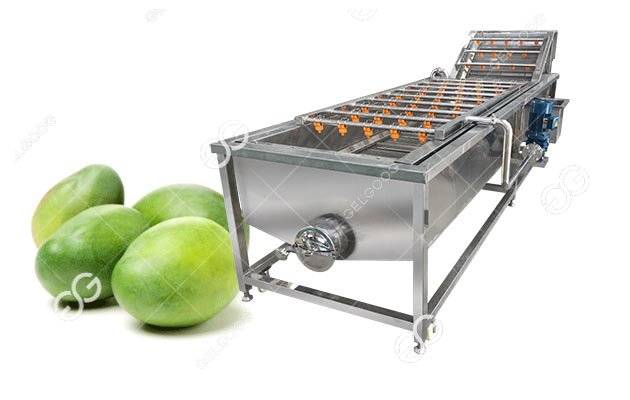 mango fruit washing machine