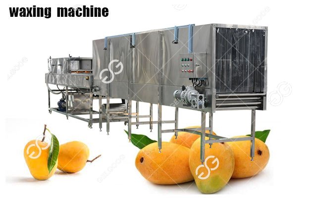 mango fruit waxing machine
