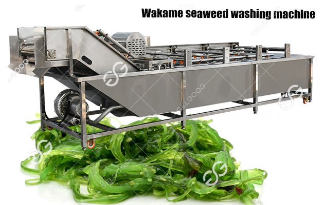 seaweed cleaning machine