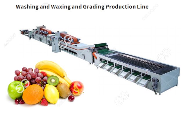 fruit vegetable processing machine line
