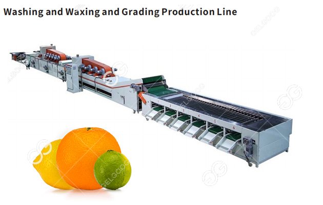 fruit washing waxing machine line