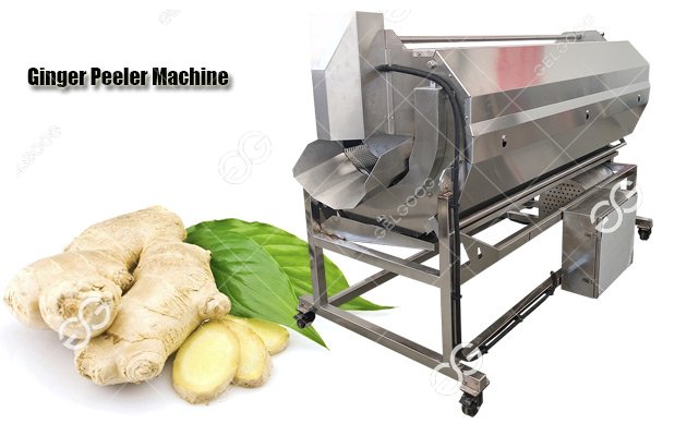 ginger washing peeler machine