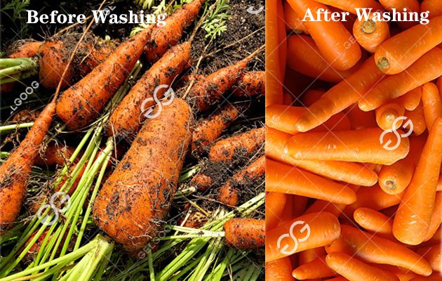 carrot washer