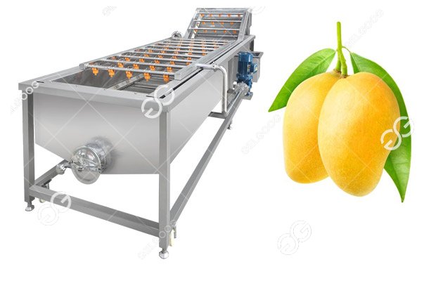 mango hot water treatment machine