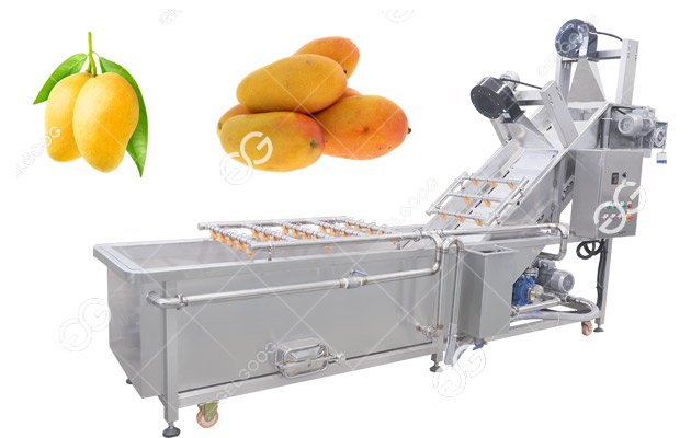 industrial mango cleaning machine