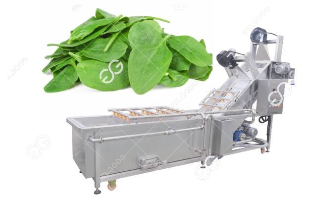 spinach vegetable washing machine