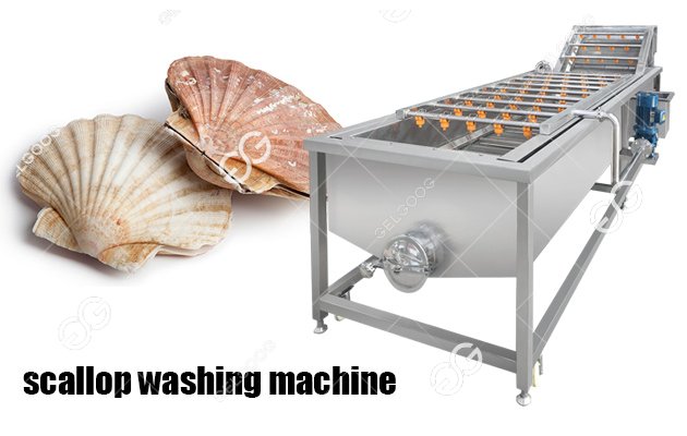 scallop cleaning machine sale