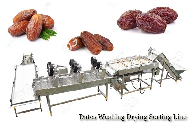 dates fruit washing drying line