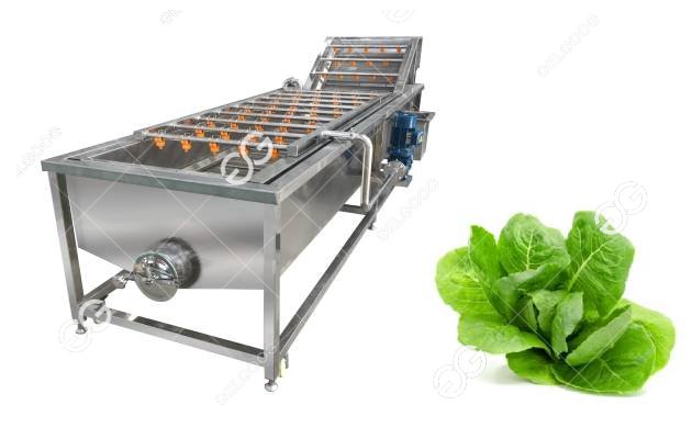 lettuce washing machine