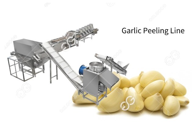garlic process machine line