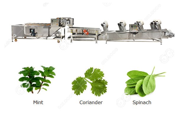 leaves washing and drying machine