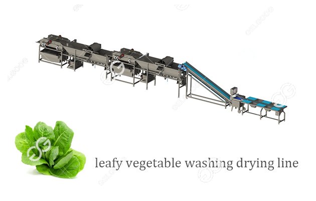 leaves washing drying machine line