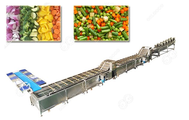 fresh vegetable processing machine
