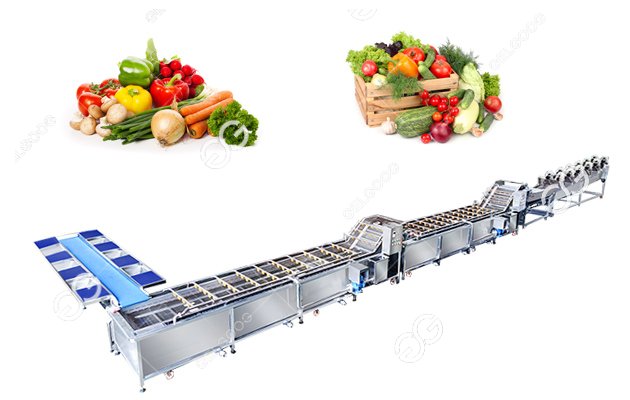 vegetable processing line