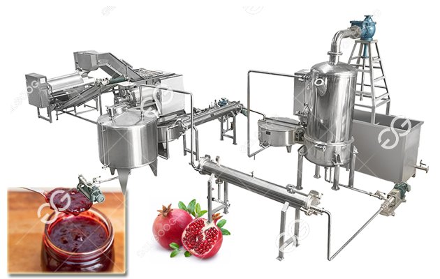 Pomegranate Processing Plant