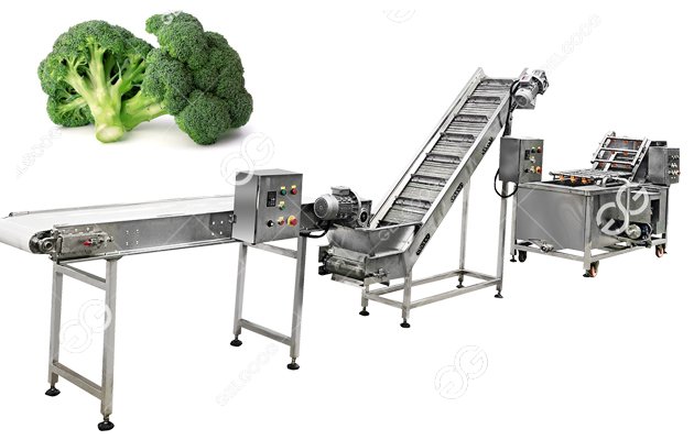 broccoli florets freezing machine